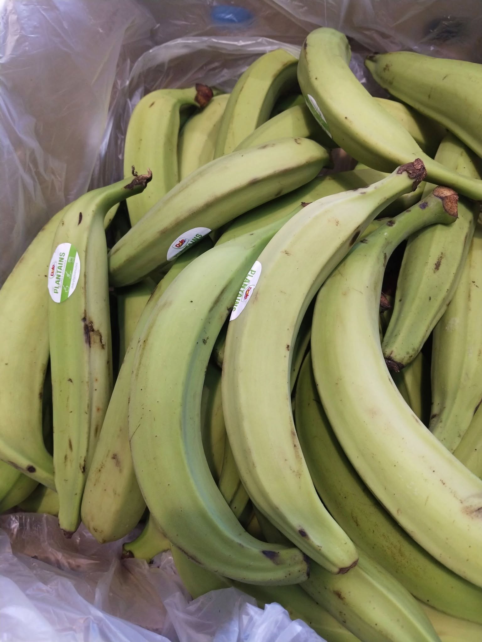 Plantain